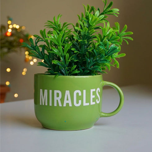 Artificial Plants - For your Planters